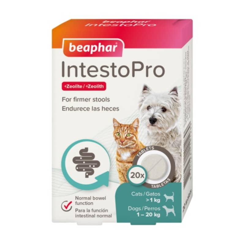 Beaphar IntestoPro Small Breed tabletes pret caureju maziem suņiem un kaķiem N20